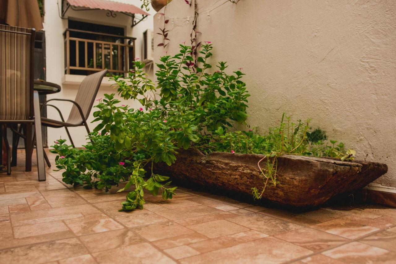 Posada Kin Palenque Εξωτερικό φωτογραφία